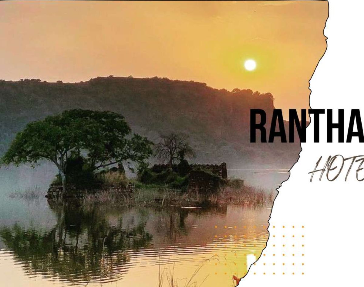 Ranthambore wedding destination
