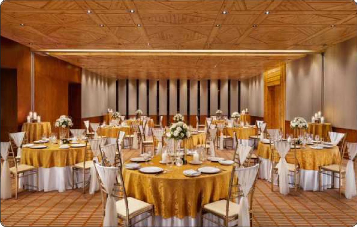 Taj Theog Resort & SPA photo