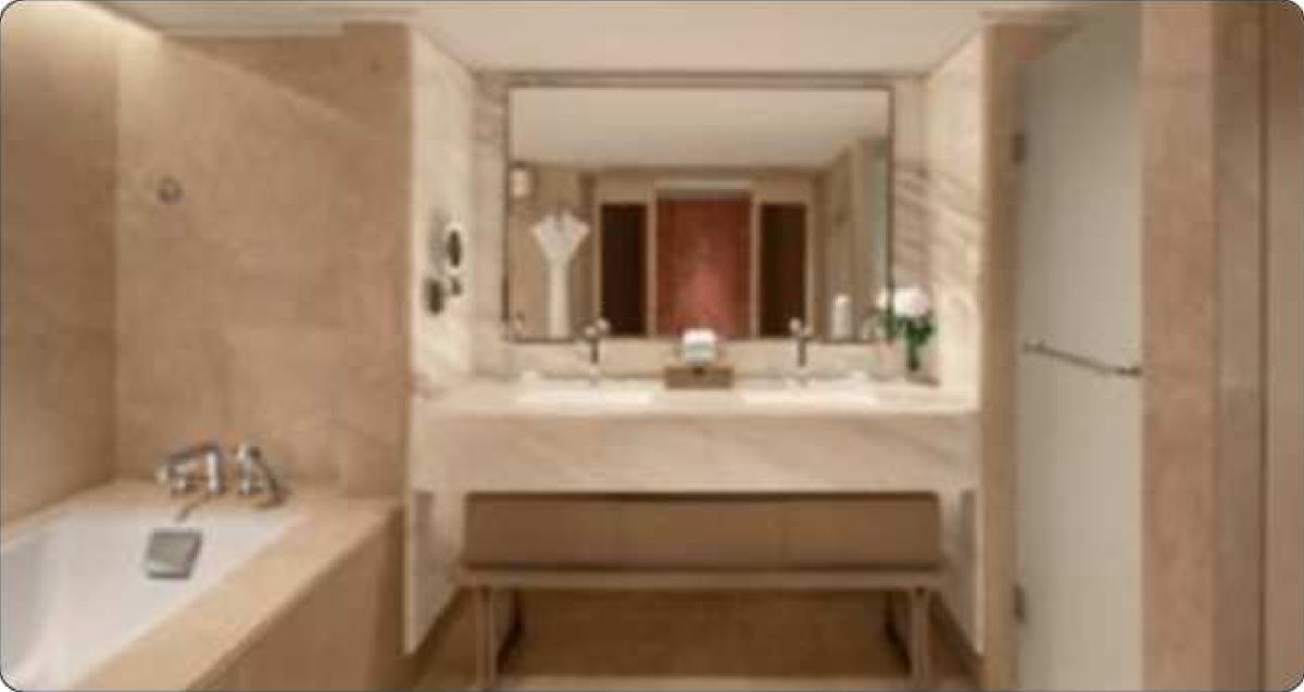 The St.regis GOA Resort photo