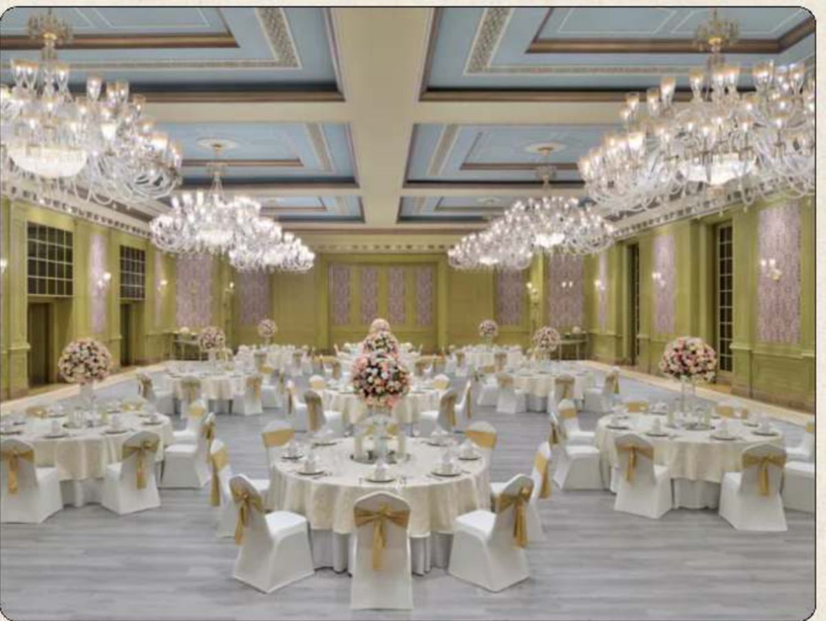 Sear Raffles Udaipur photo