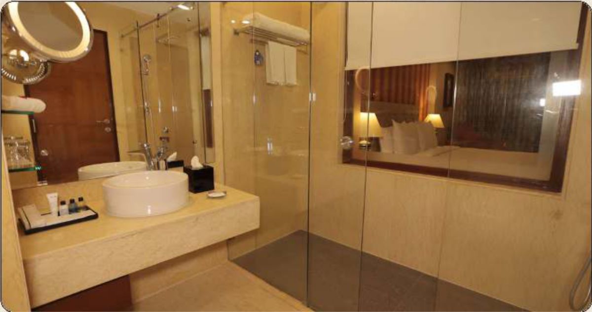 Radisson Blu Palace Resort & SPA, Udaipur photo